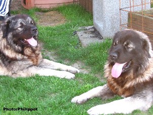 Fury et Furko 23 months